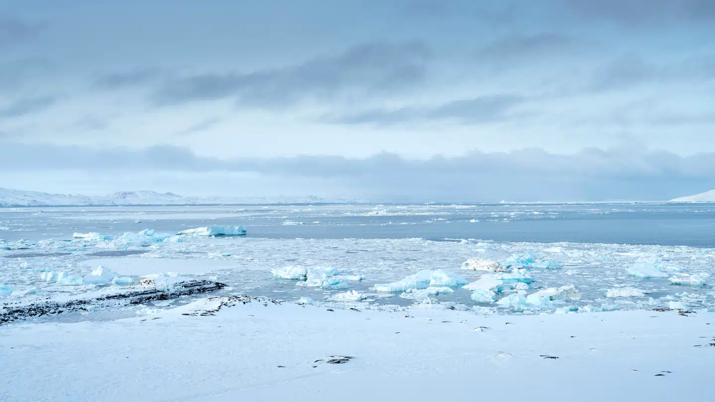 Is på Godthåbsfjorden ved Nuuk i Grønland.