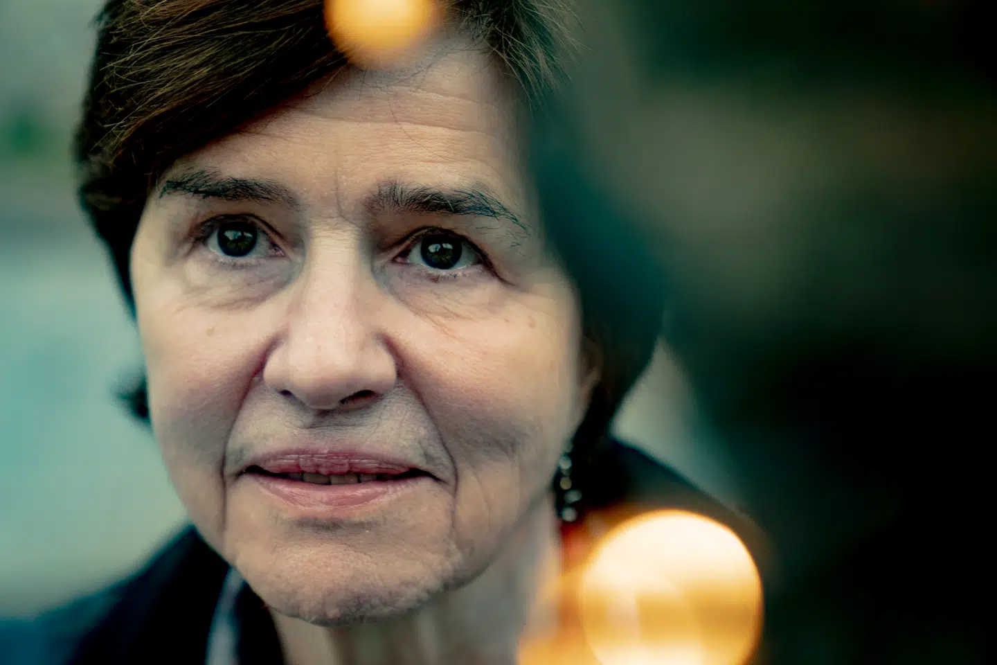 Den amerikanske professor Katherine Richardson har i mange år boet i Danmark, men har en en lang række professionelle og personlige forbindelser til USA.