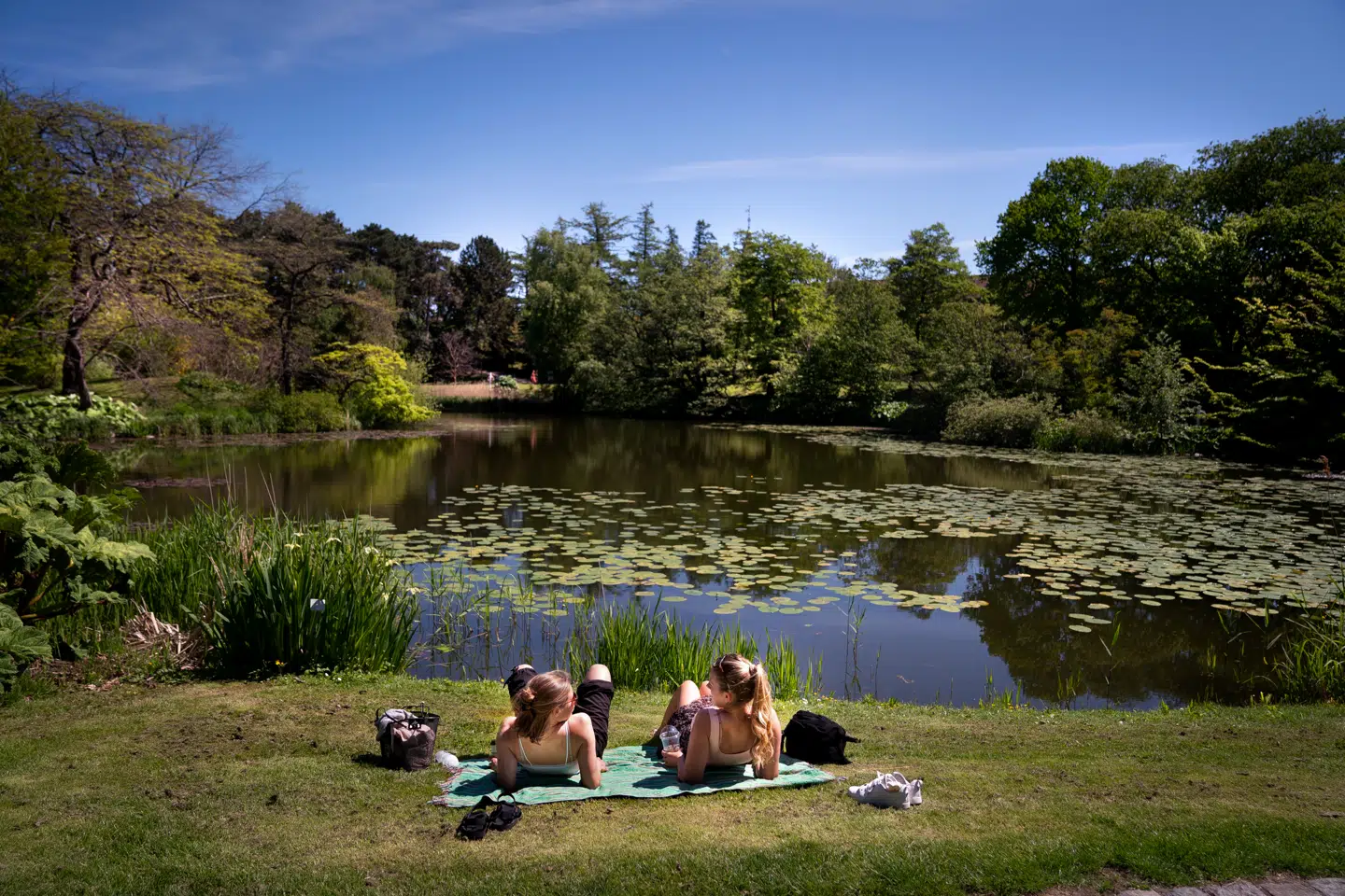 Nyd foråret. Det har på mange måder aldrig været bedre herhjemme. Botanisk Have i København.