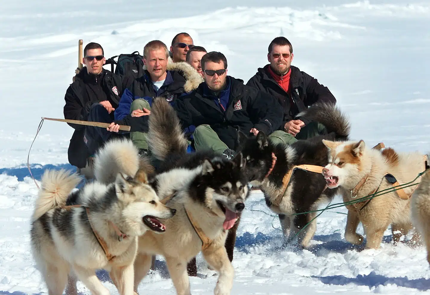 Kong Frederik har en fortid i Siriuspatruljen. Her ses han og de fem andre på Ekspedition Sirius 2000 fotograferet i netop år 2000.
