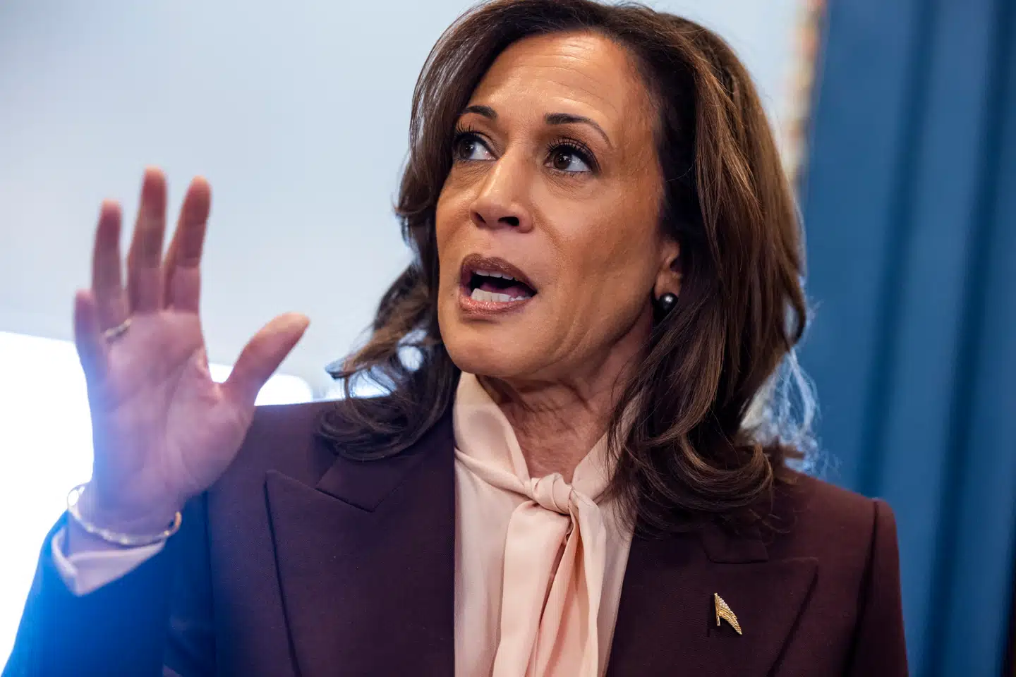 »Allerede inden hun blev præsidentkandidat var Harris ikke specielt populær i partiet, fordi hun – udover manglende erfaring – på en og samme tid blev opfattet som værende meget til venstre i partiet og samtidigt meget opportunistisk villig til at mene hvad som helst.«