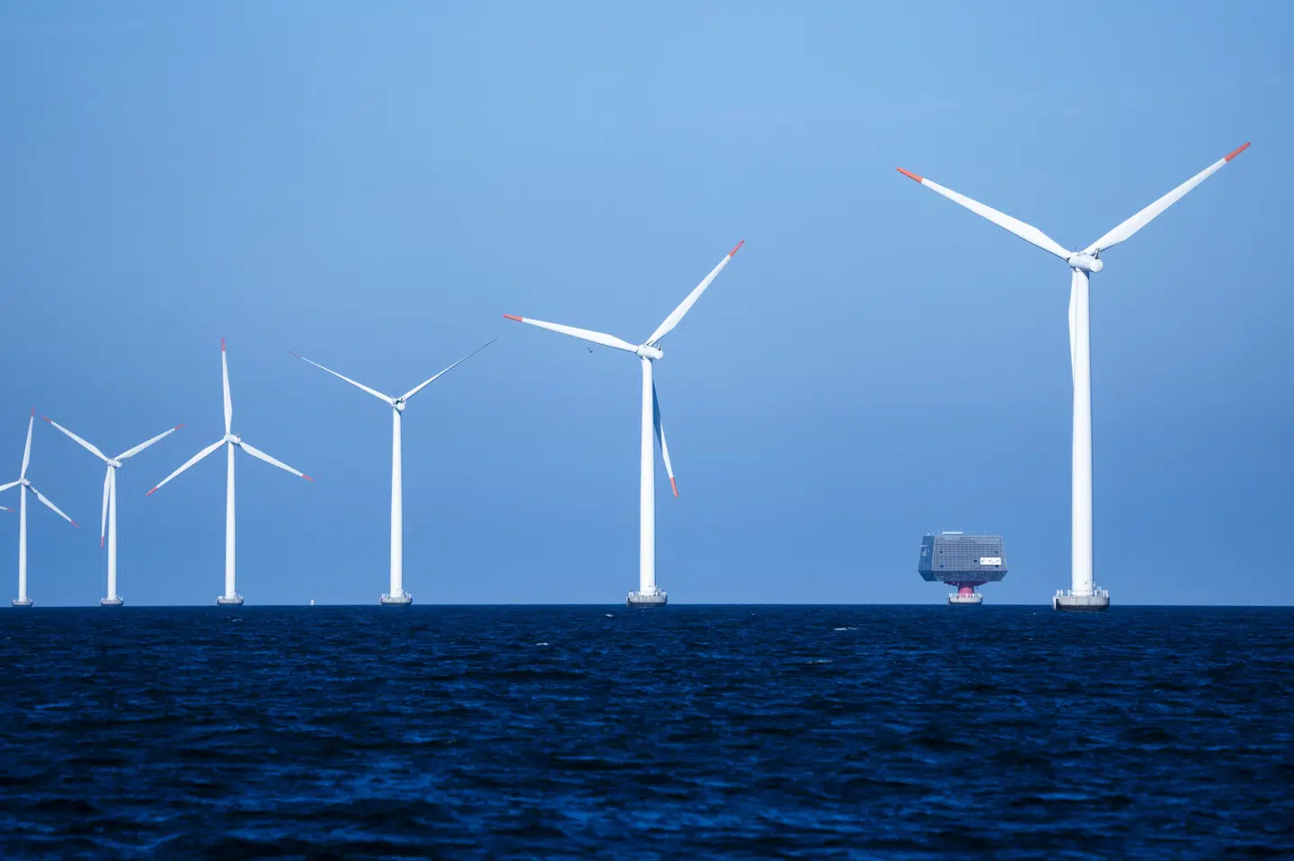 Det var regeringens tro, at staten kunne tjene penge på at opføre havvindmølleparker i de danske farvande. Nu er regeringen ifølge flere medier klar til at bruge op mod 60 milliarder kroner over 20 år for at lokke energiselskaber til. (Arkivfoto).