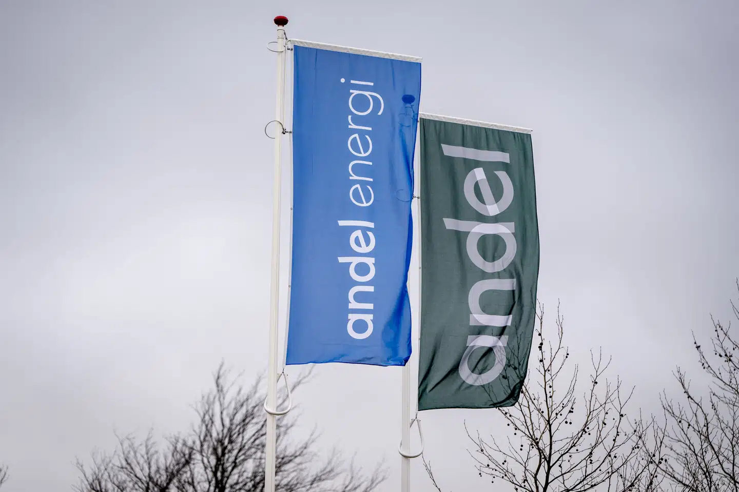 Forbrugerombudsmanden mener ikke, at elselskabet Andel Energi har oplyst klart og forståeligt om variabelt pristillæg på selskabets hjemmeside. (Arkivfoto).