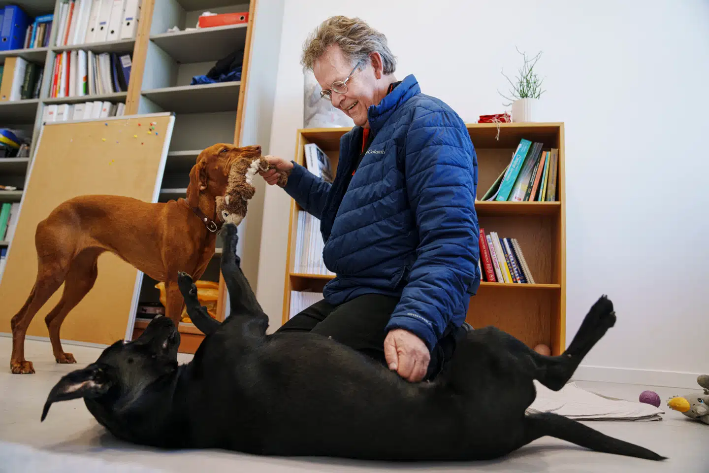 Fuldtidsarbejde og et godt hundeliv rimer ikke nødvendigvis på hinanden, mener Peter Sandøe, der er professor i bioetik ved Københavns Universitet.