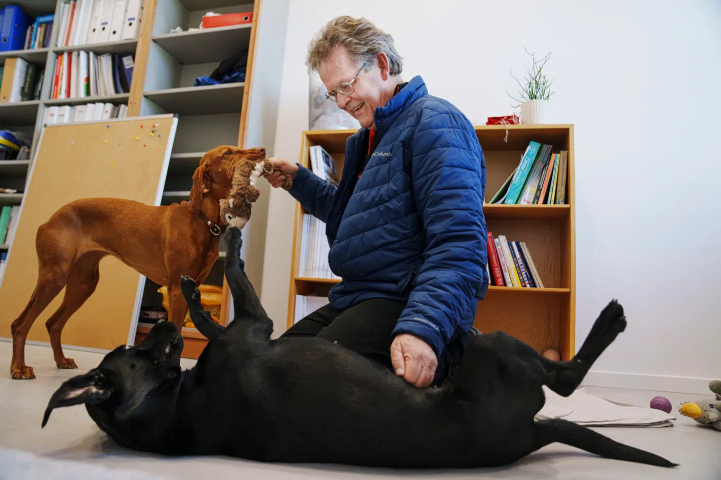 Fuldtidsarbejde og et godt hundeliv rimer ikke nødvendigvis på hinanden, mener Peter Sandøe, der er professor i bioetik ved Københavns Universitet.