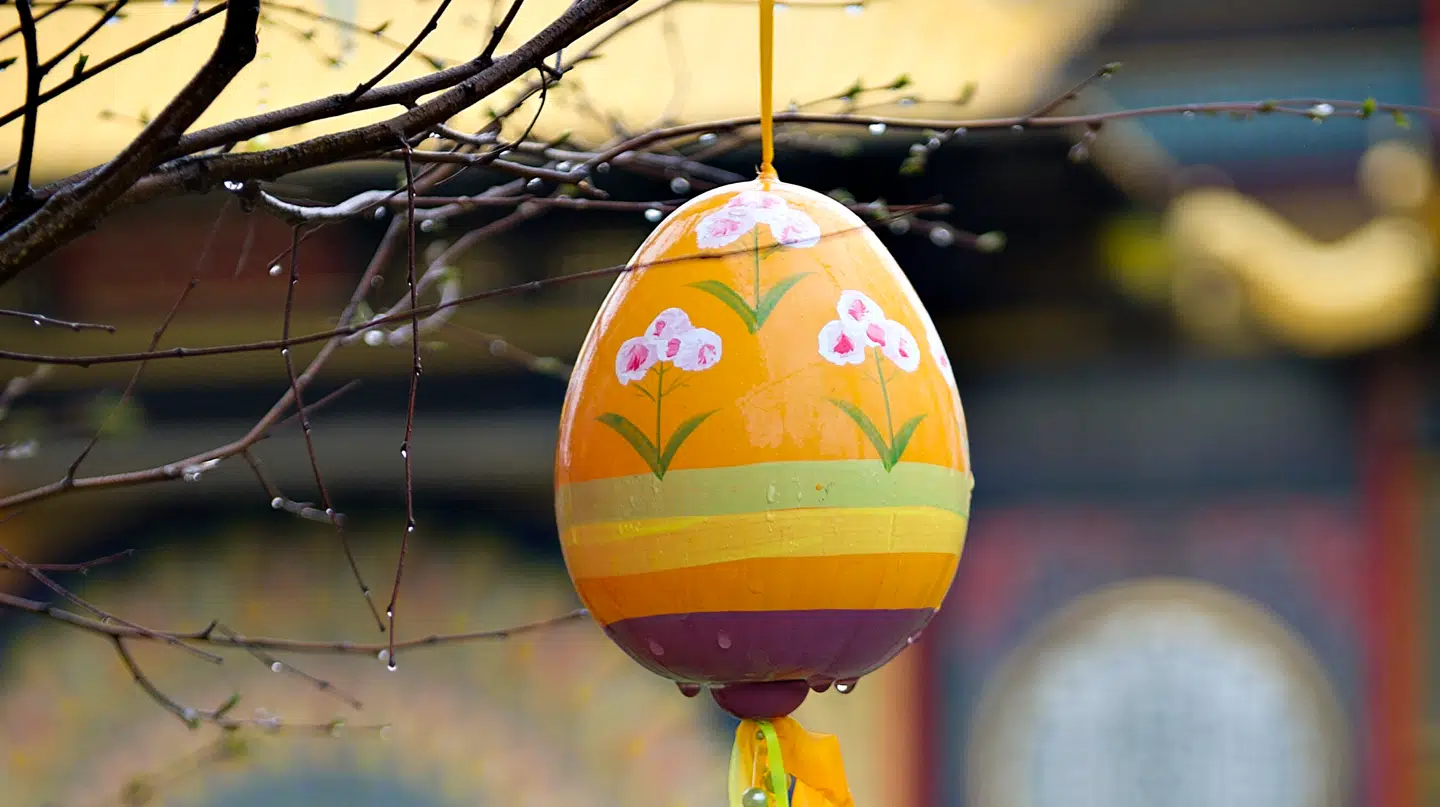 Vinderen planlægger at købe det størst mulige påskeæg til sin søster.
