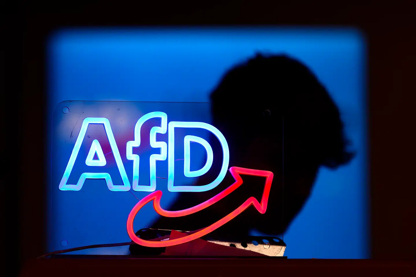 AfD er den tyske efterretningstjeneste blevet kategoriseret som »definitivt højreekstremt«.