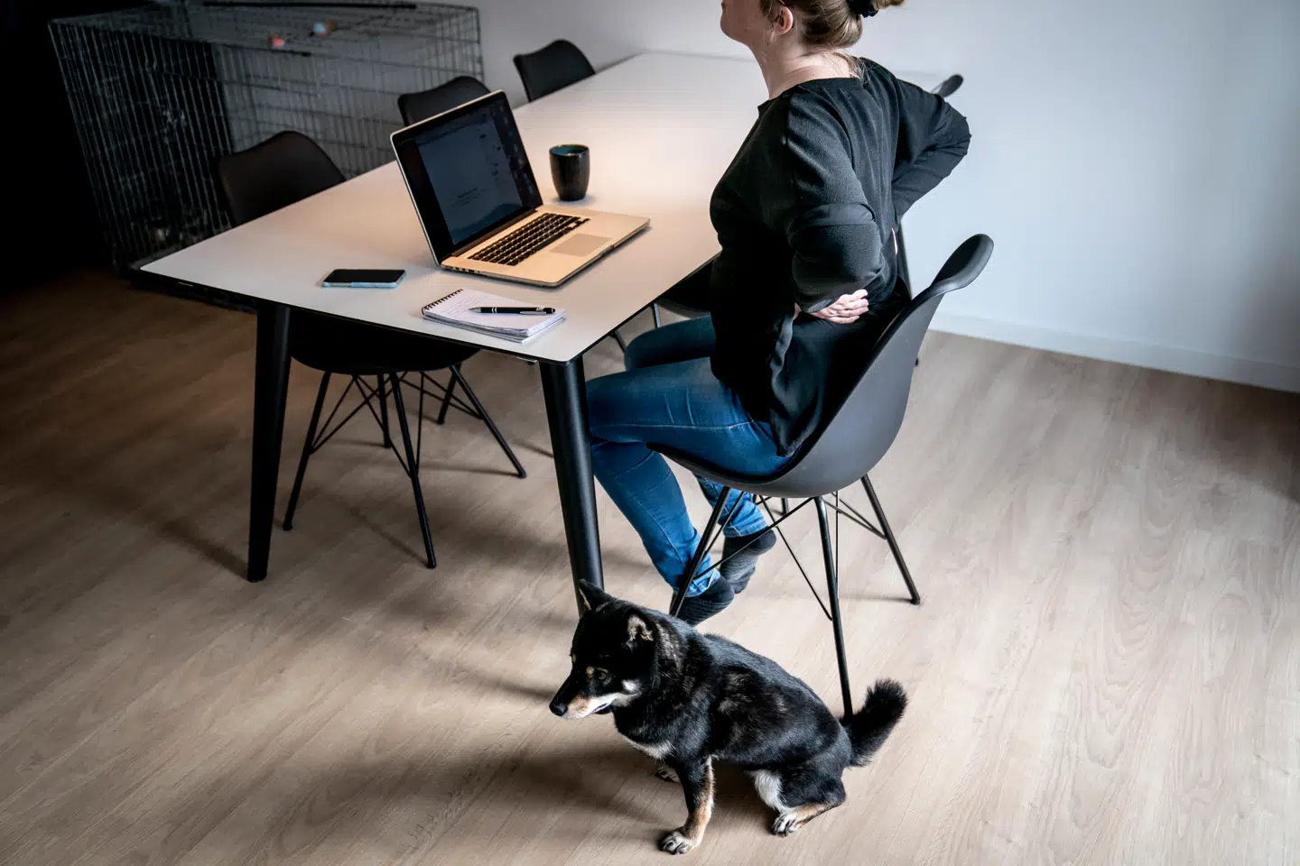 Danskerne elsker at arbejde hjemmefra. I andet kvartal af 2024 var niveauet af hjemmearbejde lig med under corona i 2021 ifølge Danmarks Statistik.