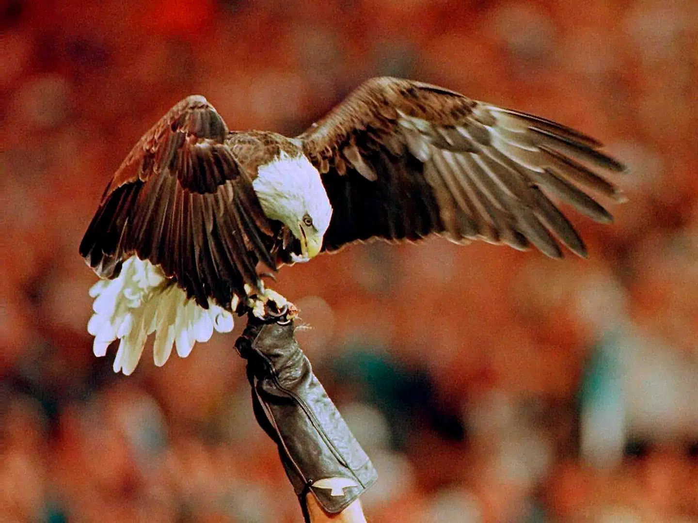 Når du deltager i dagens quiz, er du samtidig med i lodtrækningen om en præmie.