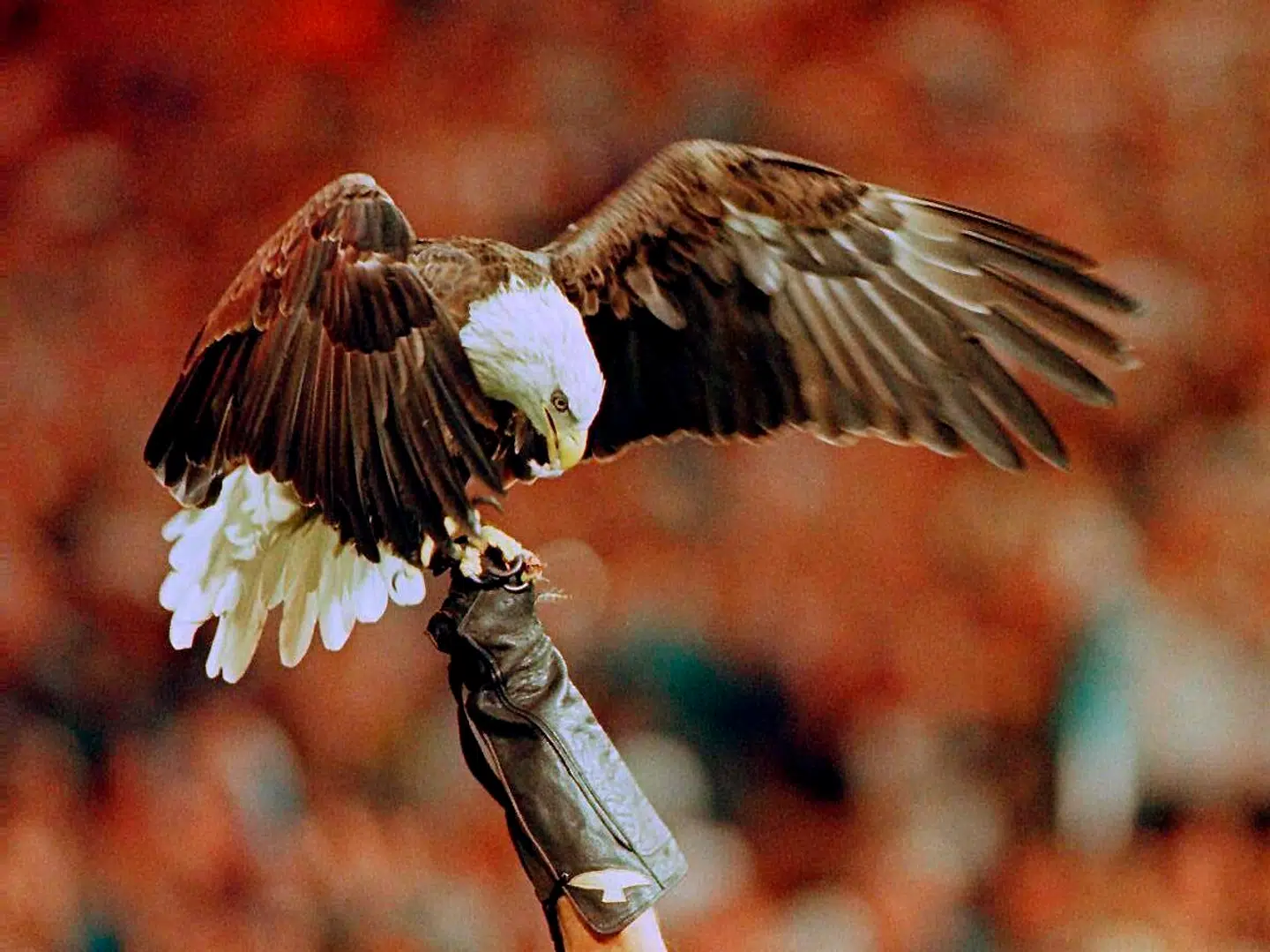 Når du deltager i dagens quiz, er du samtidig med i lodtrækningen om en præmie.