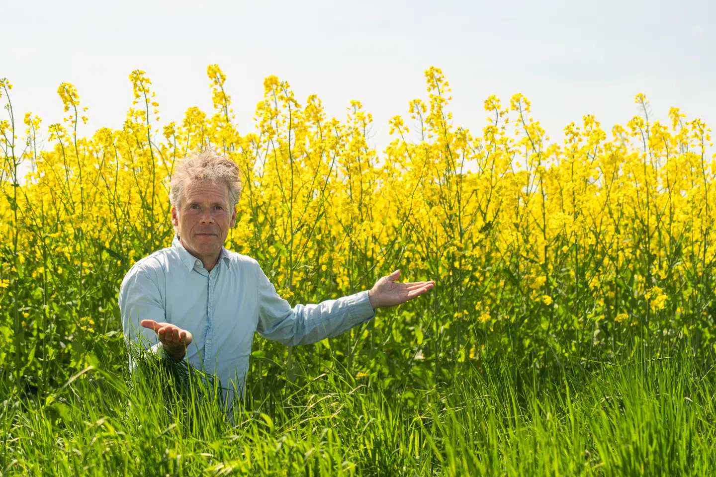 »De ligner måske et billede fra Guldalderen, men i virkeligheden minder de mere om Edvard Munchs 'Skriget'.«