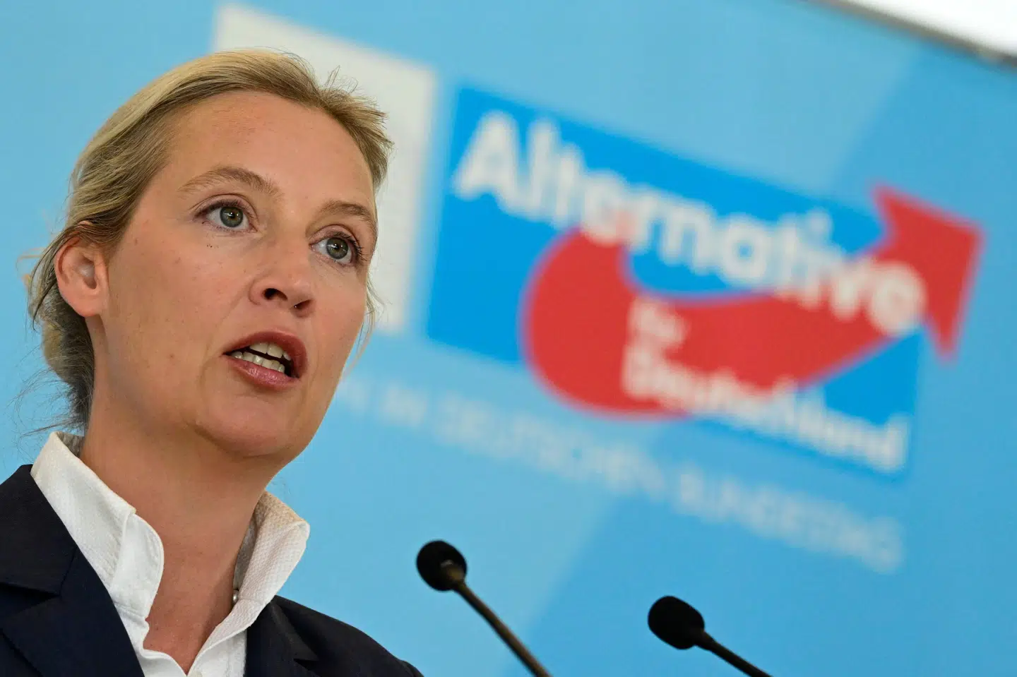 Med-partiformand Alice Weidel kalder i en udtalelse torsdagens udvikling i AfD-sag for en "delvis sejr".