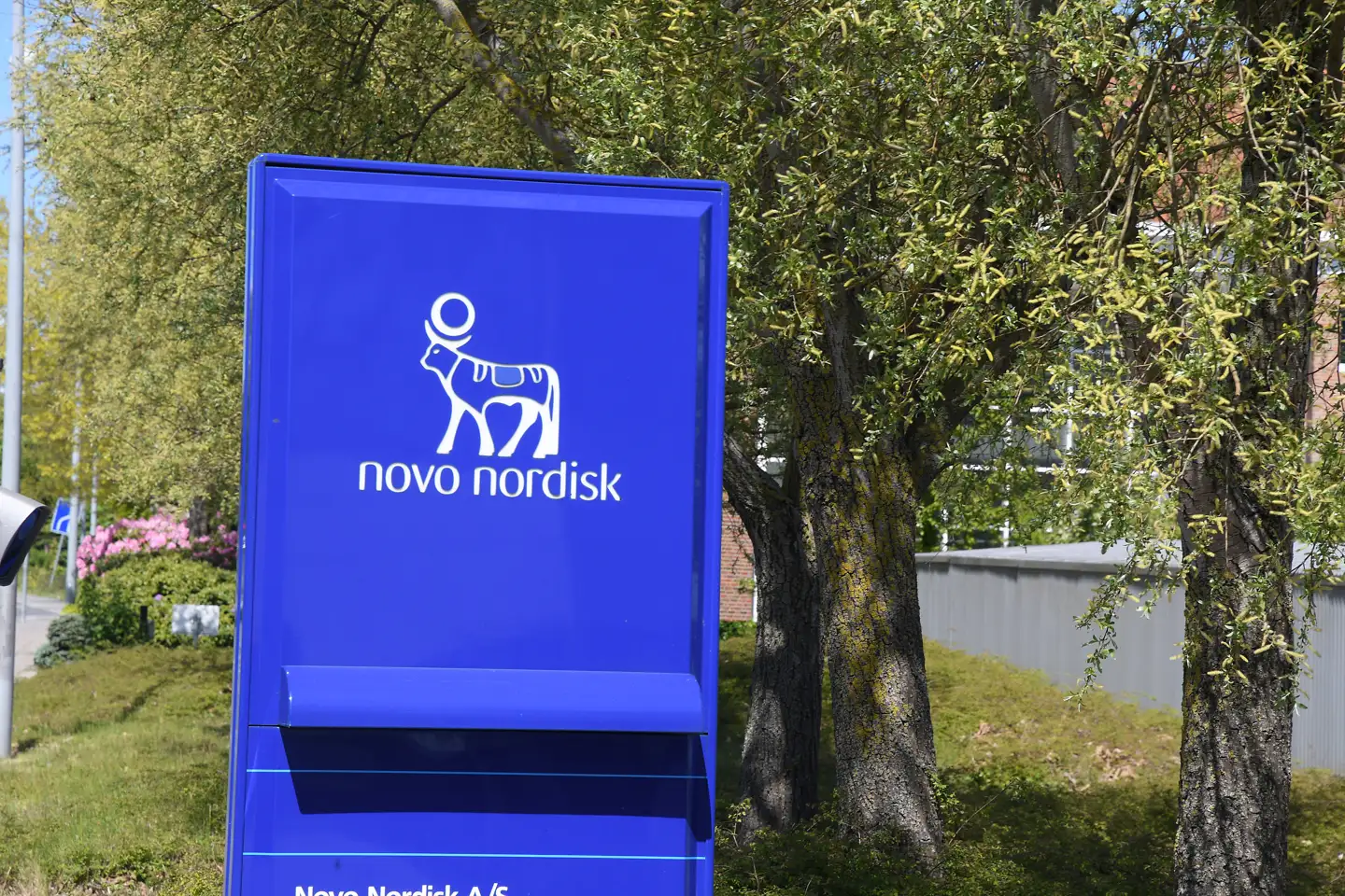 Novo Nordisk-aktien falder ligesom andre danske medicinalselskaber stort på børsen i København mandag morgen.