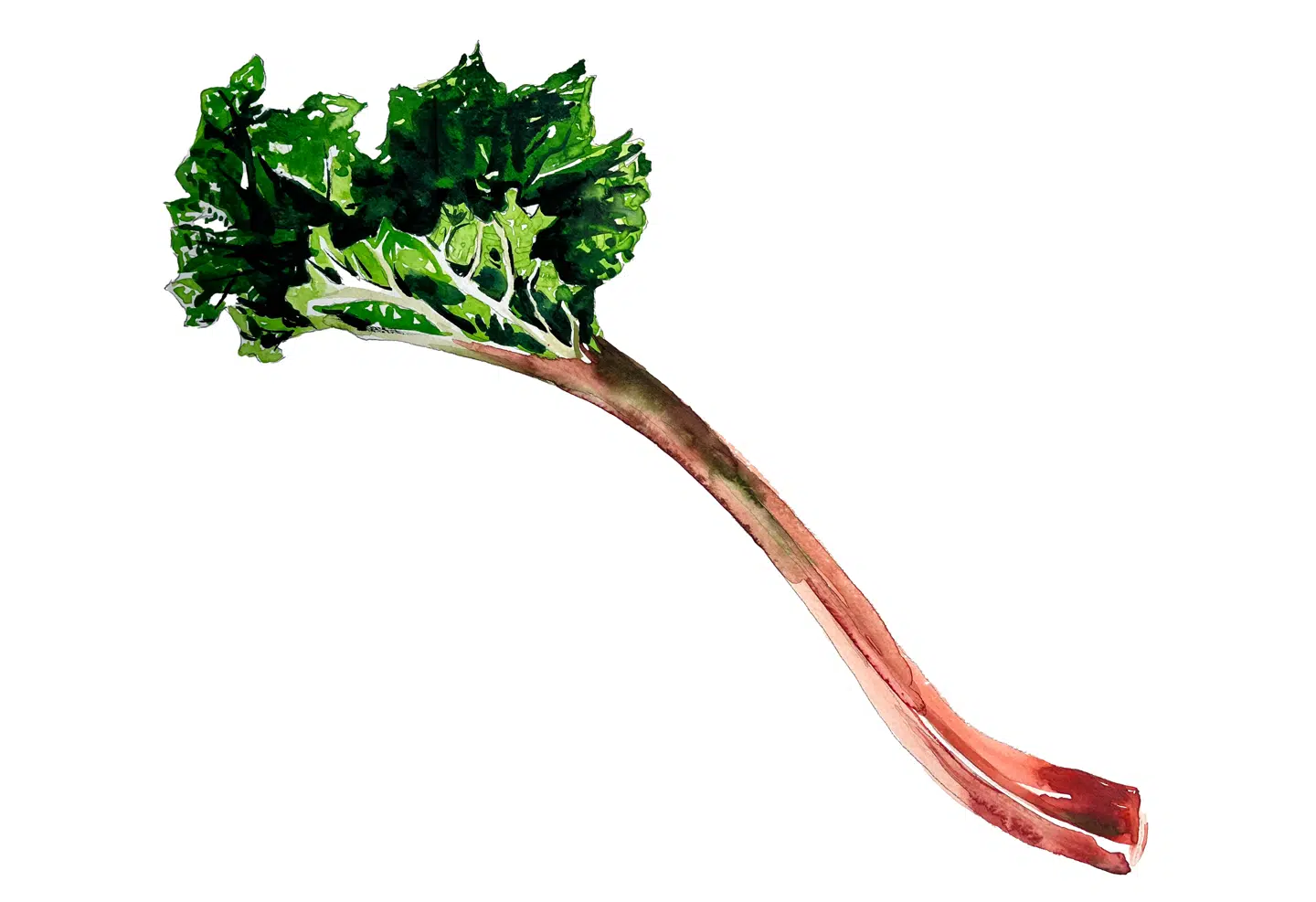 Illustration: Peter Wandel