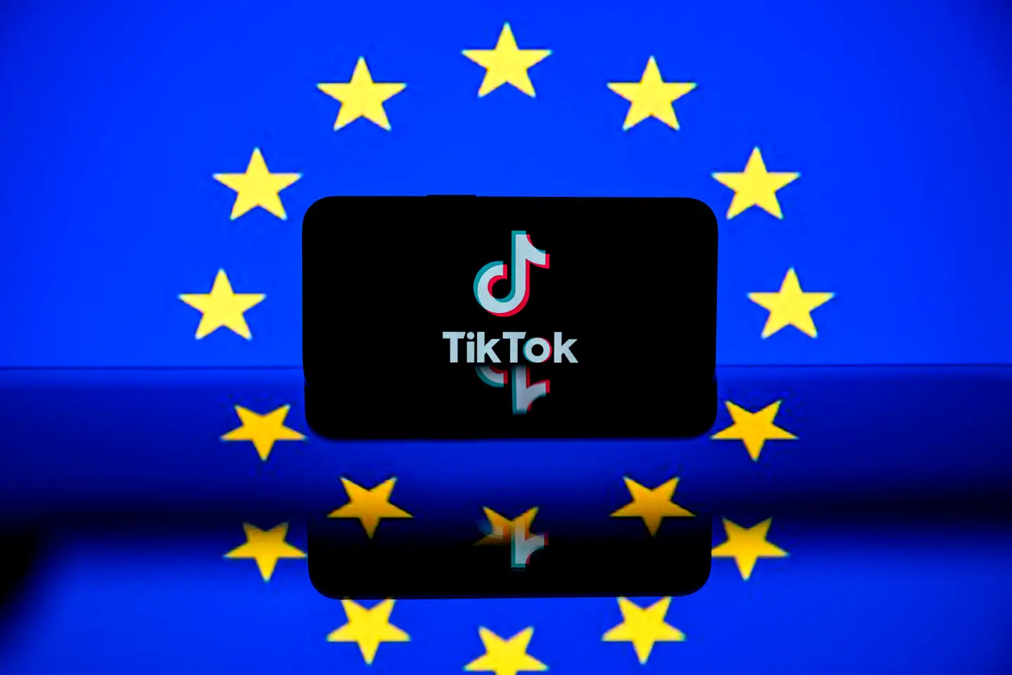 Det sociale videomedie TikTok har ikke leveret tilstrækkeligt med oplysninger om annoncer og annoncører.
