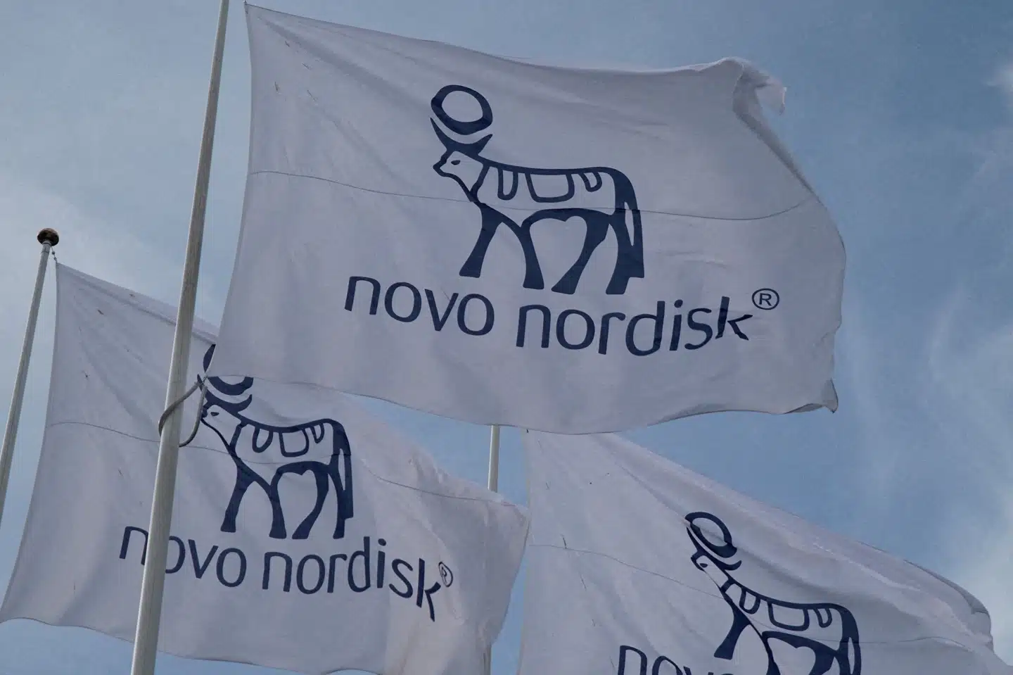 Lars Fruergaard stoppede fredag på posten som topchef i Novo Nordisk. Nu efterlyser Dansk Aktionærforening en ny type topchef for virksomheden. (Arkivfoto).