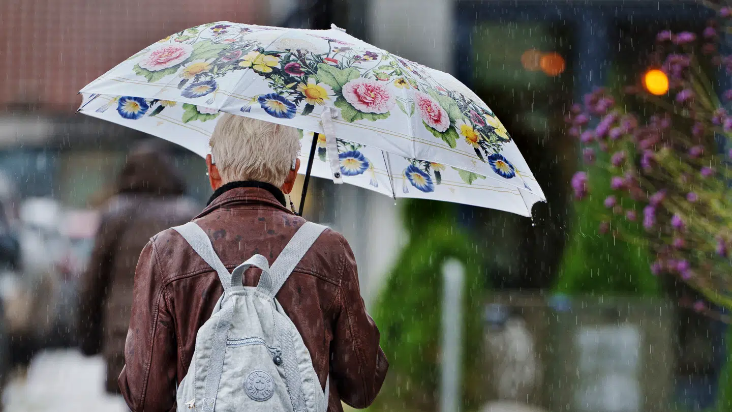 Regnbygerne sætter deres præg på vejrudsigten mandag på en ellers mild decemberdag.