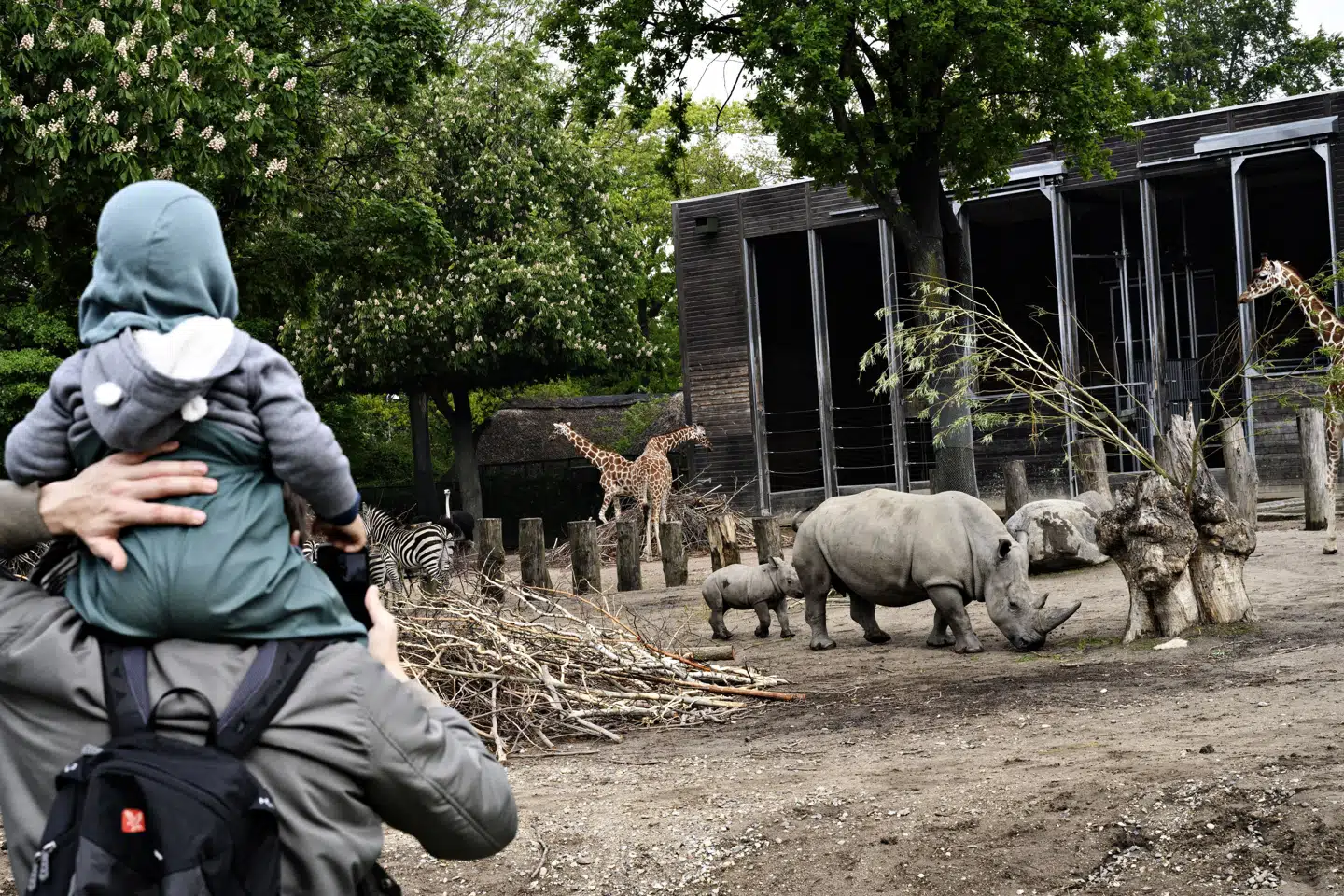 Mødrehjælpen afholder også udflugter over hele landet, som er gratis at deltage i (Arkivfoto).