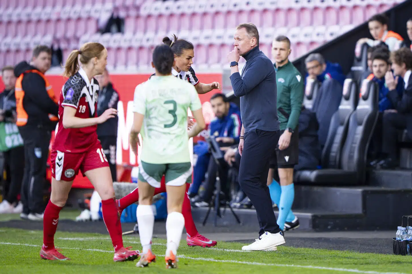 Danmark skal jagte en plads i toppen af gruppen i de kommende kampe mod Wales og Sverige. (Arkivfoto).