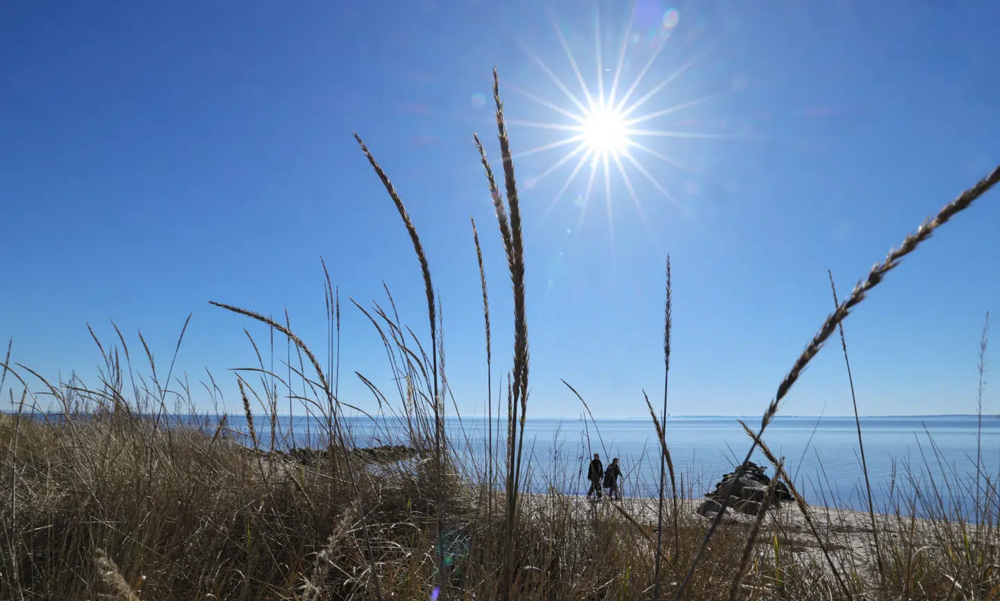 Foto: Christian Charisius, Scanpix