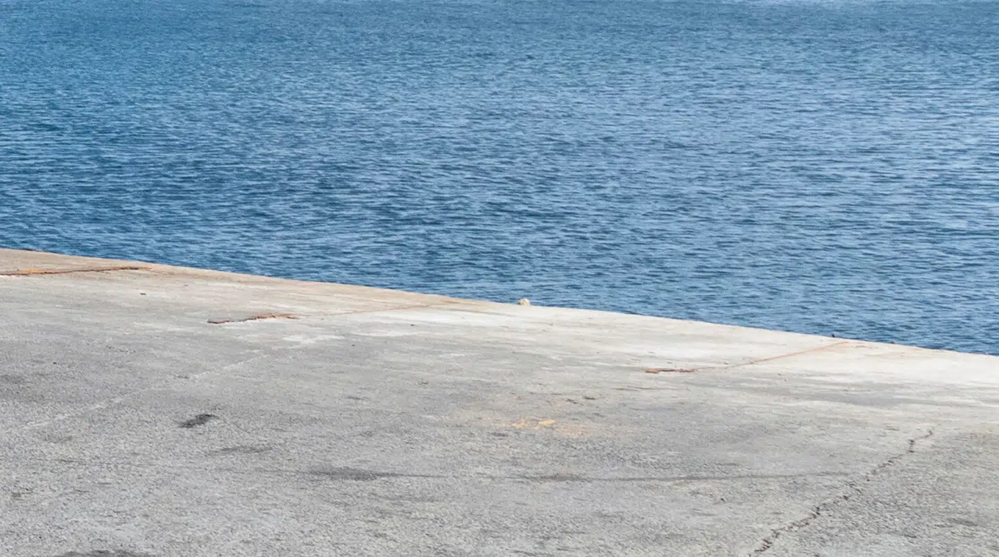 Arkivfoto af strand i St. Vincent og Grenadinerne.