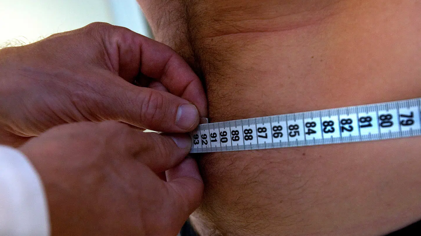 Taljemålet stiger hele livet. Nu har forskere fundet forklaringen på hvorfor.