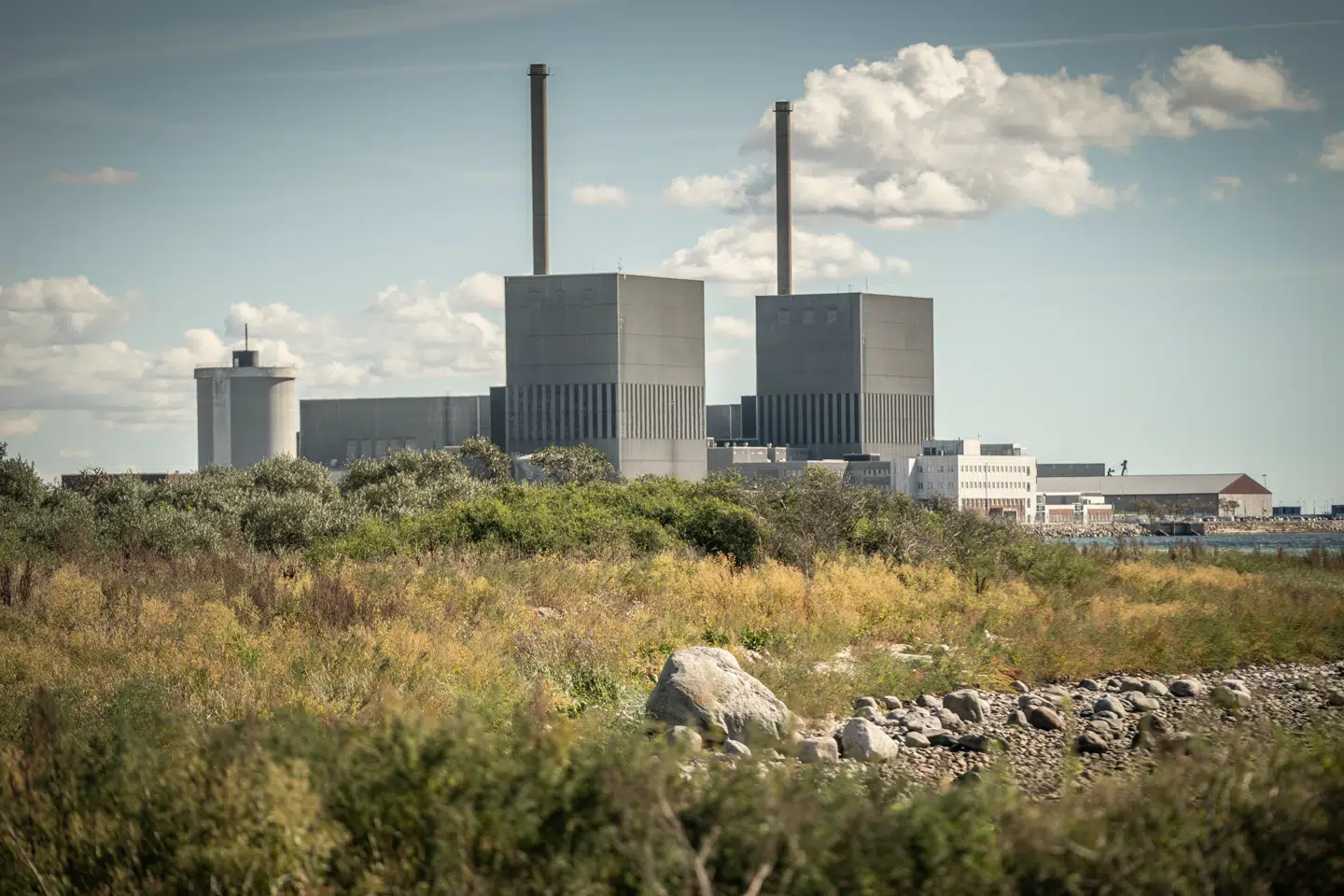 Nye atomkraftteknologier har vundet frem i en grad, der har gjort politikerne villige til at undersøge, om Danmarks forbud mod atomkraft skal ophæves. Den nye type kraftværker adskiller sig fra de klassiske af slagsen, såsom Barsebäck-værket ved Malmø, hvor den sidste reaktor lukkede i maj 2005.