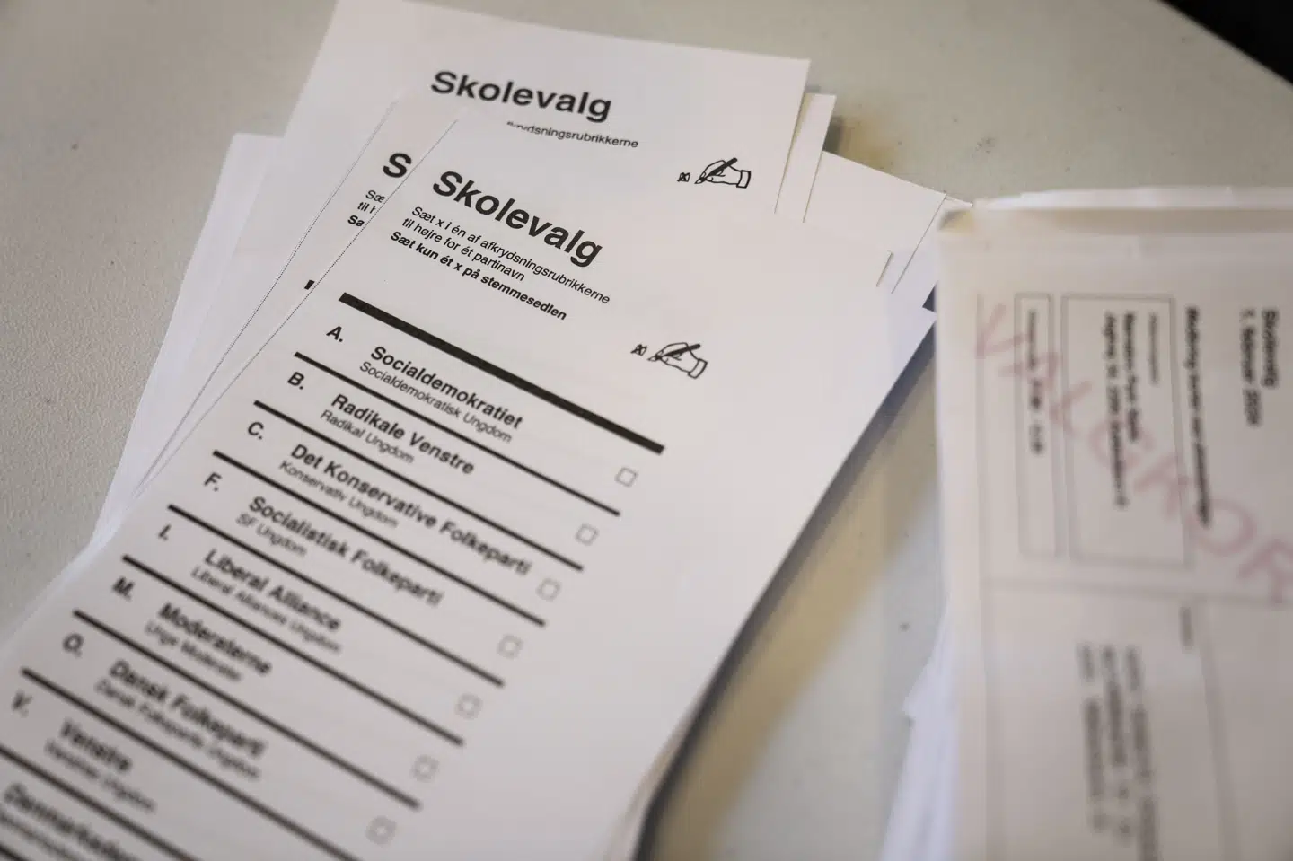 Udvælgelsen af de 20 emner, som skoleelever ved næste års skolevalg skal beskæftige sig med, har den seneste tid skabt stor debat, efter Folketingets Præsidium besluttede, at emnet "Anerkend Palæstina som selvstændig stat" ikke skulle med. (Arkivfoto).