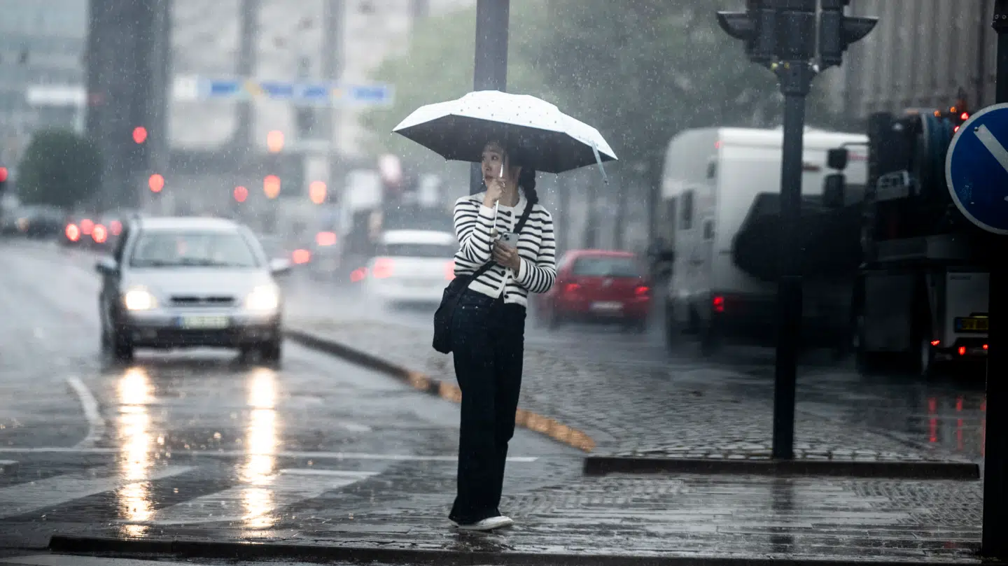 DMI lover regnvejr og blæst.