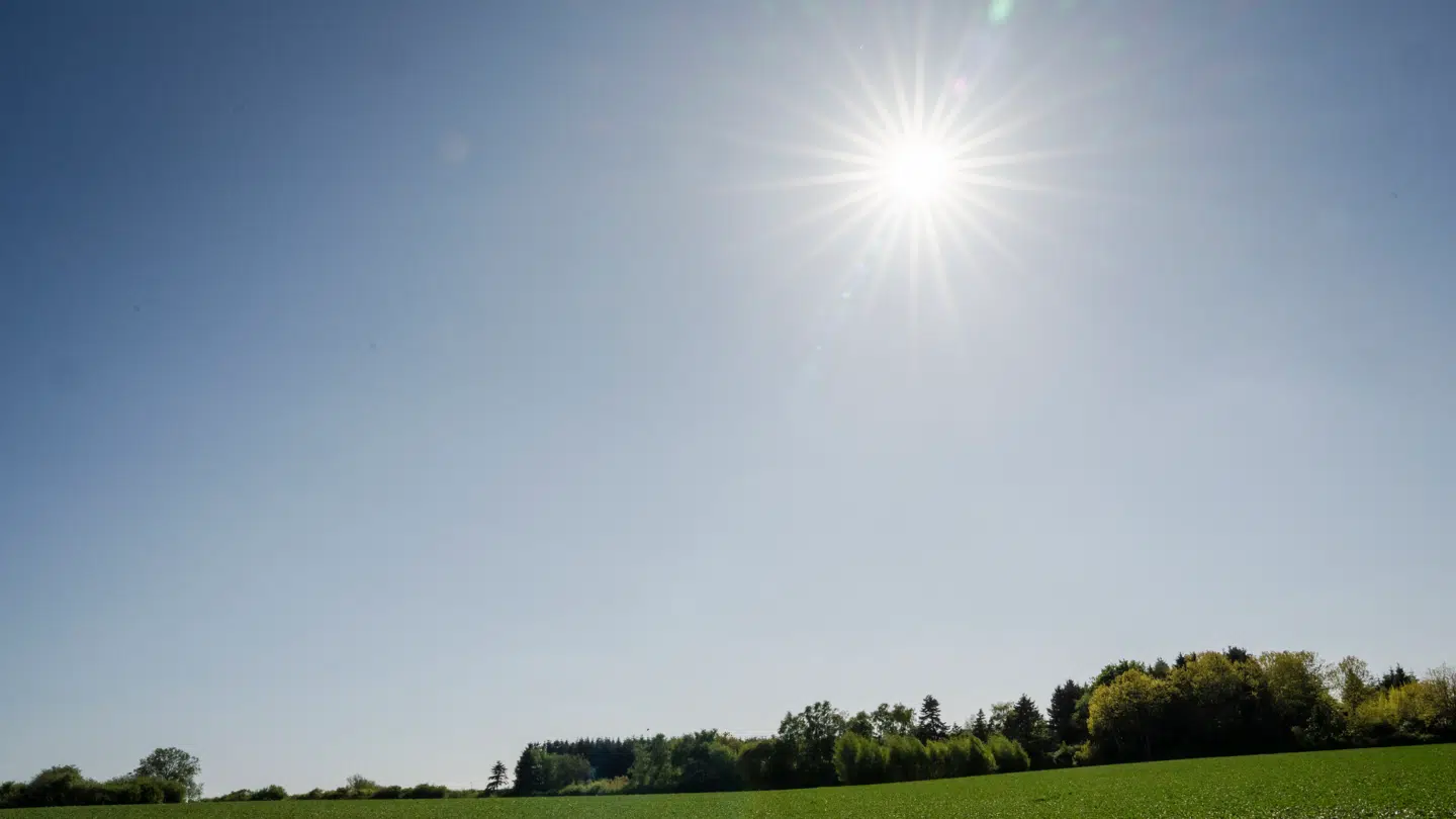 Fredag bliver en dag med solskin i hele landet.