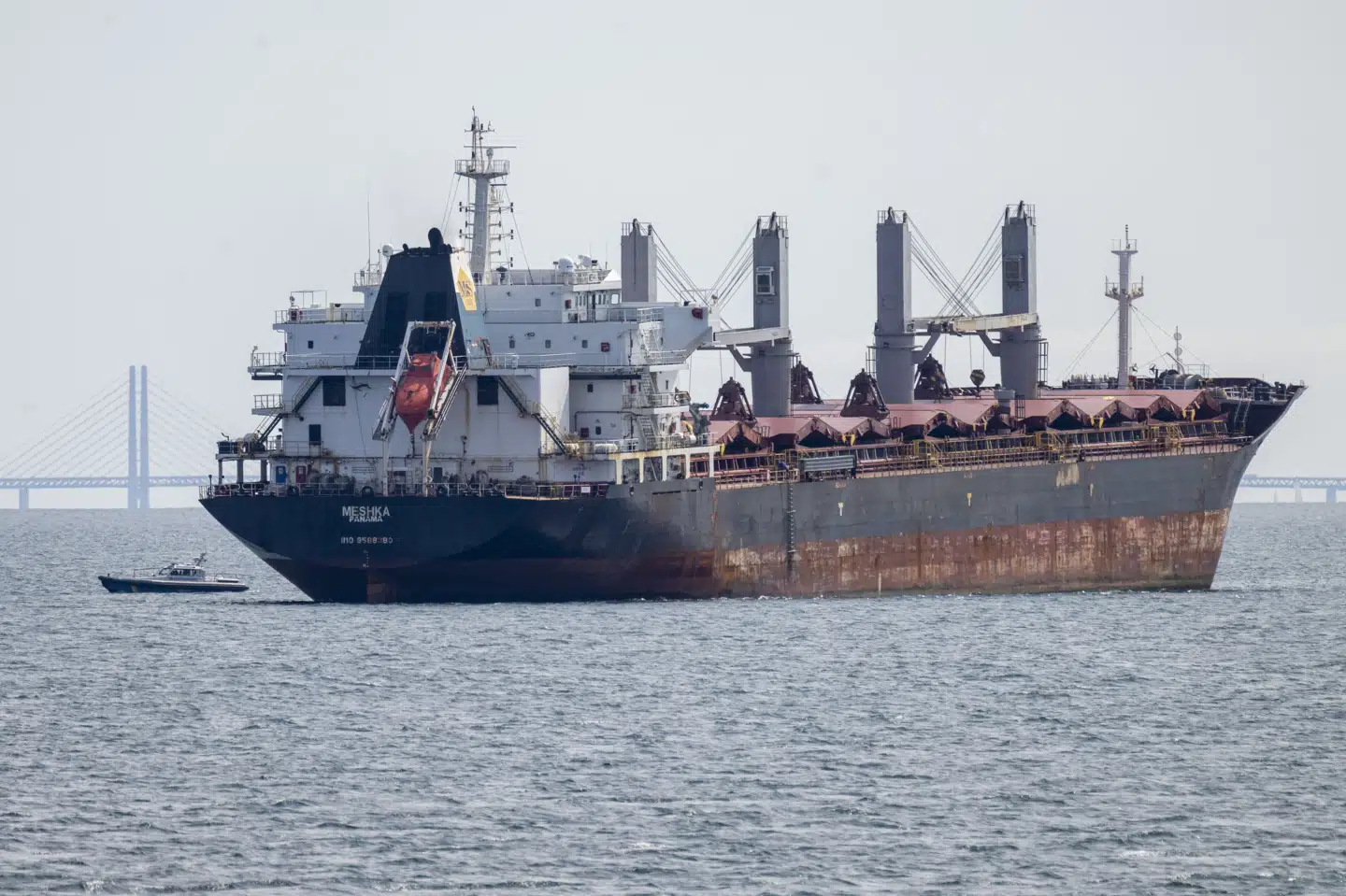 Skibet "Meshka" er gået på grund i Øresund. Skibet er 180 meter langt og 31 meter bredt.