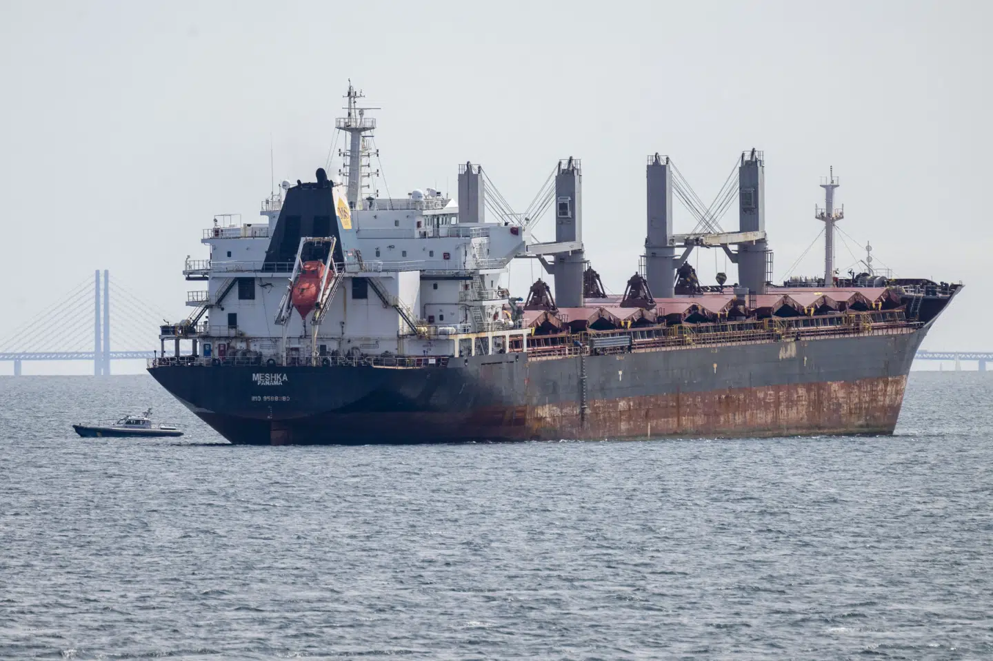 Skibet "Meshka" er gået på grund i Øresund. Skibet er 180 meter langt og 31 meter bredt.