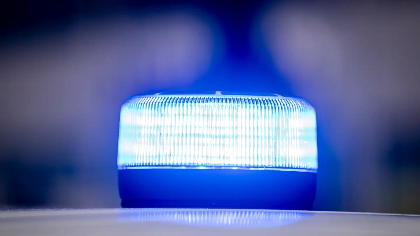 Brødrene er blevet løsladt igen.