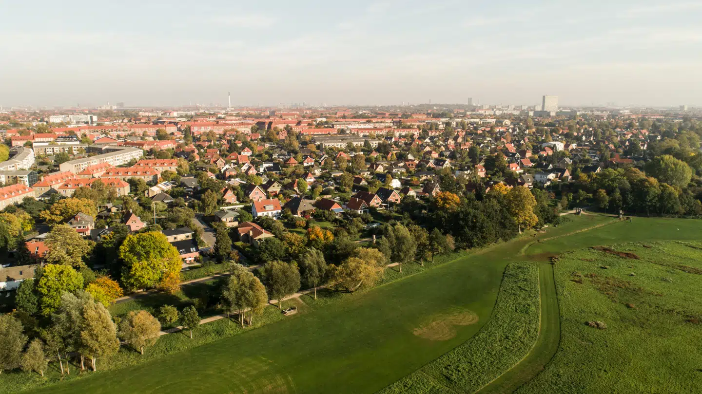 »De professionelle låneaktører i finanssektoren bør pålægges et større ansvar for deres kommercielle dispositioner,« skriver Brian Bang.