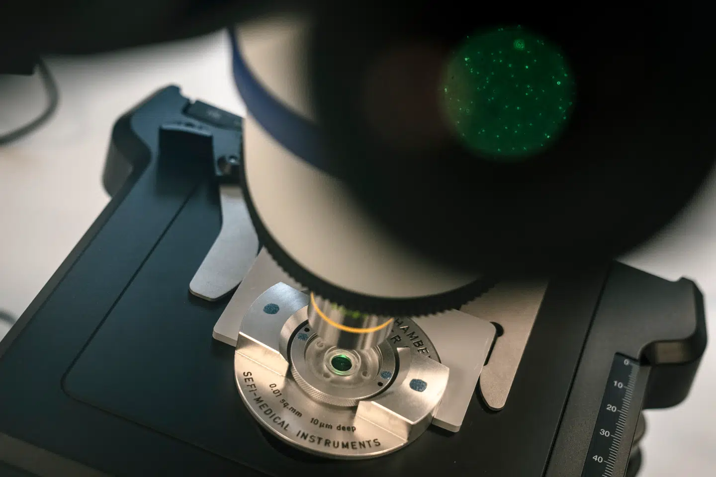 Sædceller ses i mikroskop. Sæd- og ægbank Cryos København, fredag den 24. Maj 2024. Den danske virksomhed Cryos leverer frossen donorsæd og -æg til mere end 100 lande verden over. (Foto: Thomas Traasdahl/Scanpix 2024)