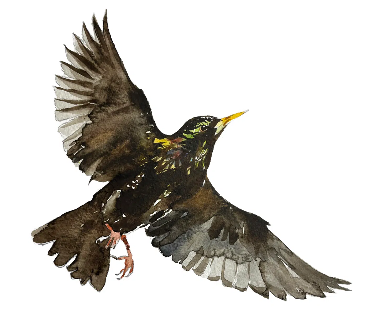 Illustration: Peter Wandel