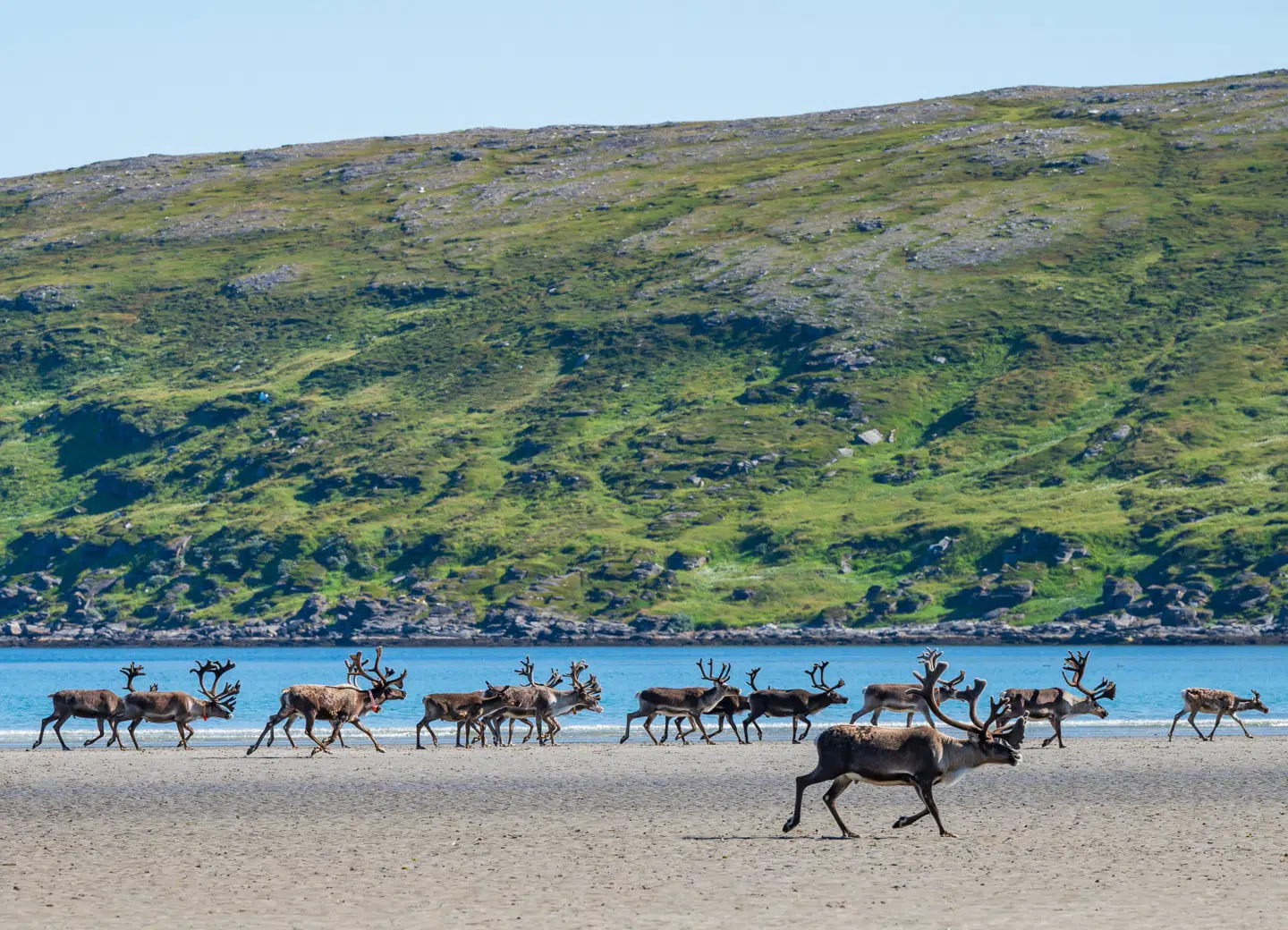 Når du deltager i dagens quiz, er du samtidig med i lodtrækningen om en præmie.