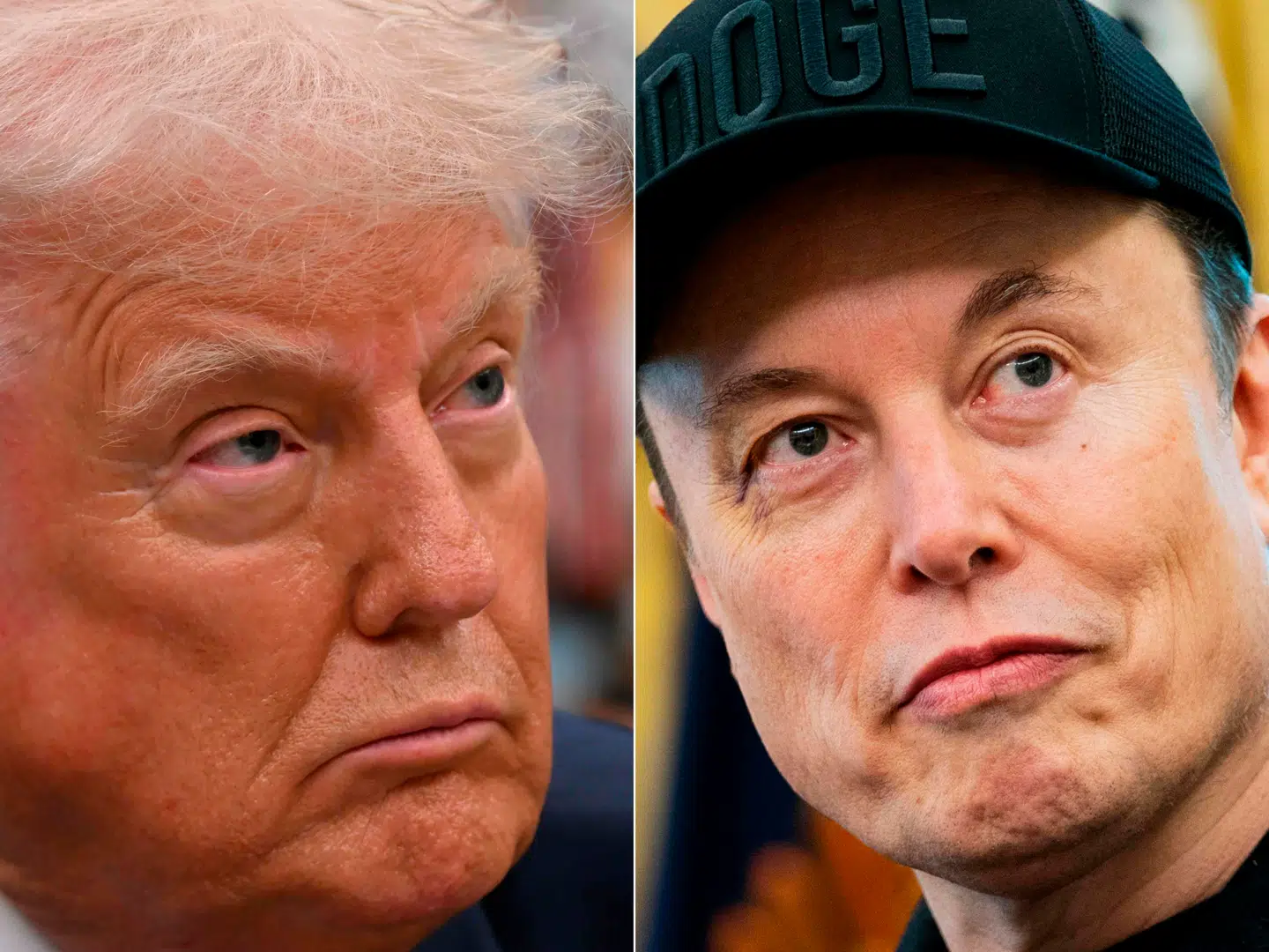 Her ses USA's præsident Donald Trump og verdens rigeste mand, Tesla-topchefen Elon Musk.