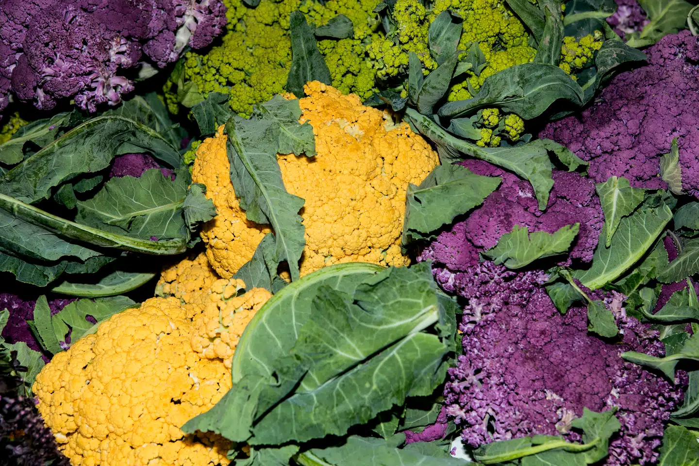 Skolemad skaber bedre forudsætninger for læring og trivsel – og færre konflikter, fordi børnene gennem en god skolemadsordning får sund mad.