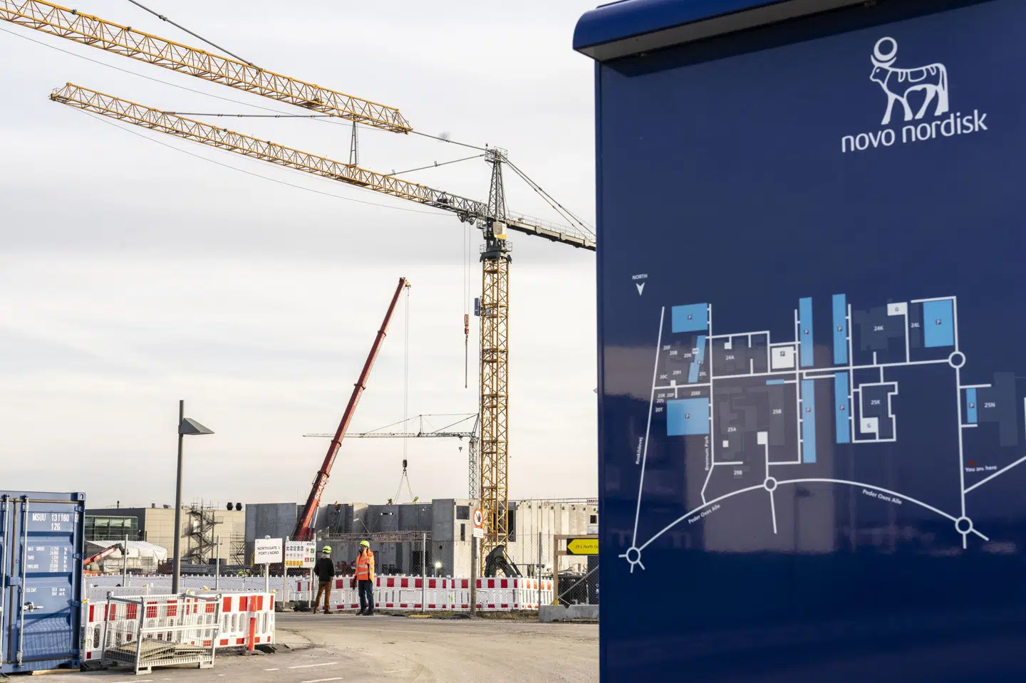 Novo Nordisk er i fuld gang med en markant udbygning af virksomhedens anlæg i Hillerød. Flere nye faciliteter skyder op, og de eksisterende produktionsbygninger bliver udvidet som led i en omfattende udviklingsplan. (Arkivfoto).