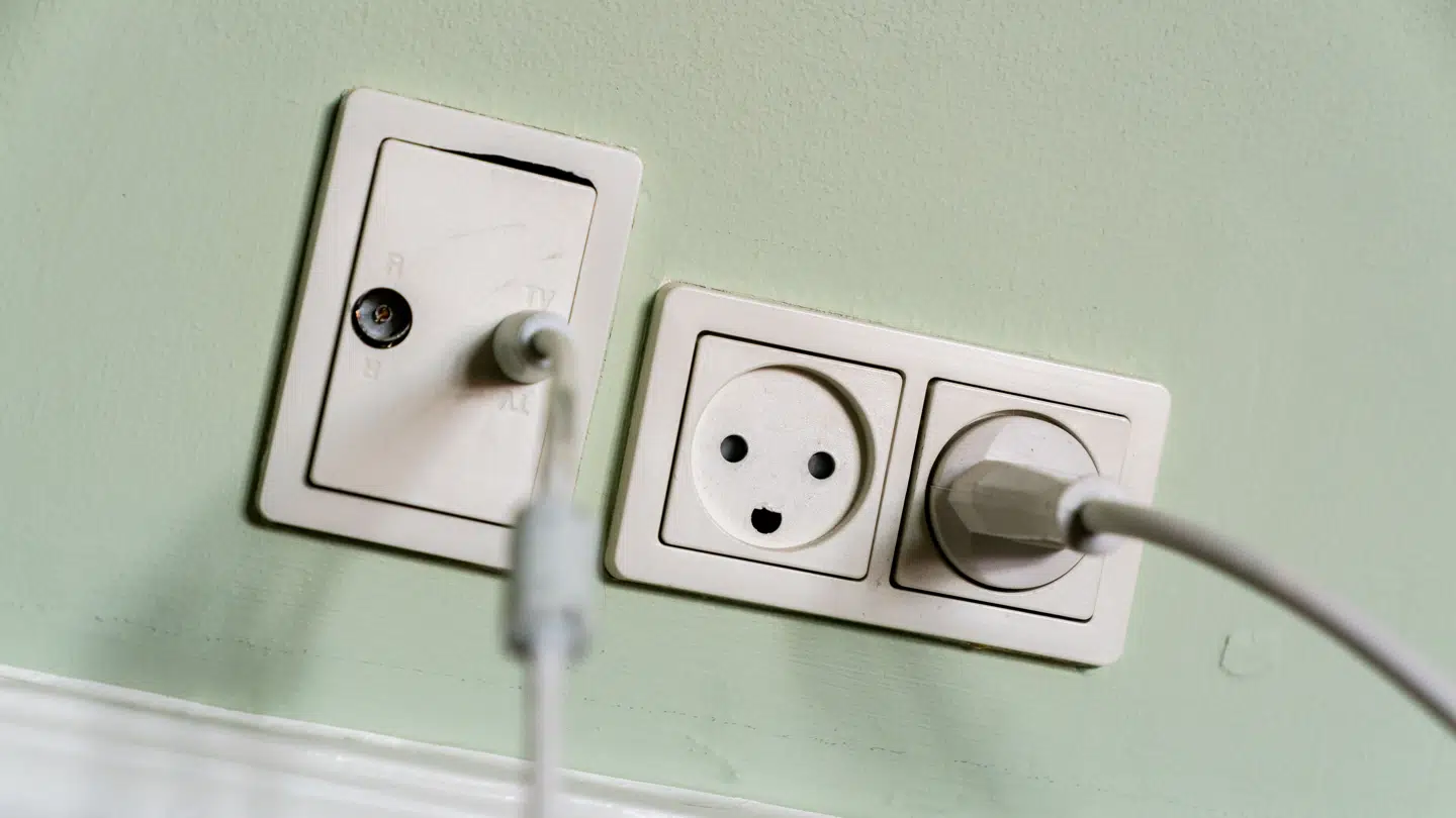 Eksperter slår alarm efter ny undersøgelse om elvaner i Norge.