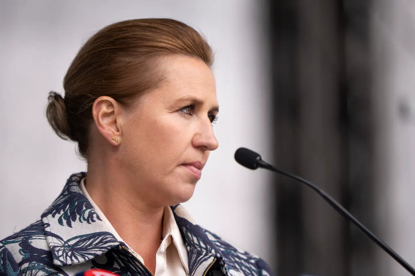 Statsministeren mener, at statsborgerretskonventionen er en af de mest problematiske, Danmark er med i.