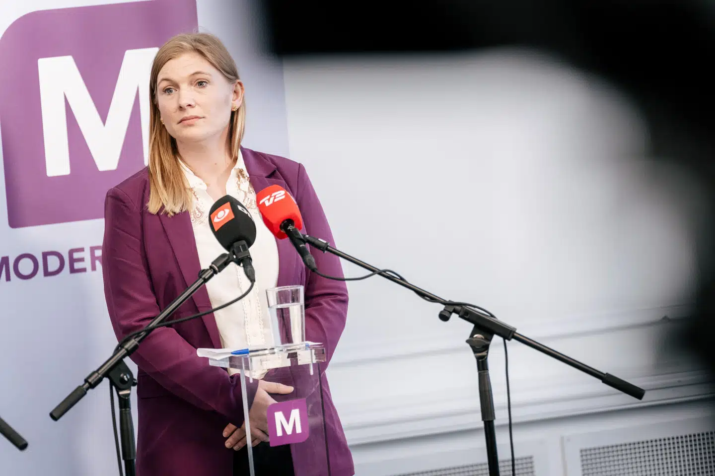 Rosa Eriksen vil ikke tillade rugemødre at tage penge for deres graviditet. (Arkivfoto).