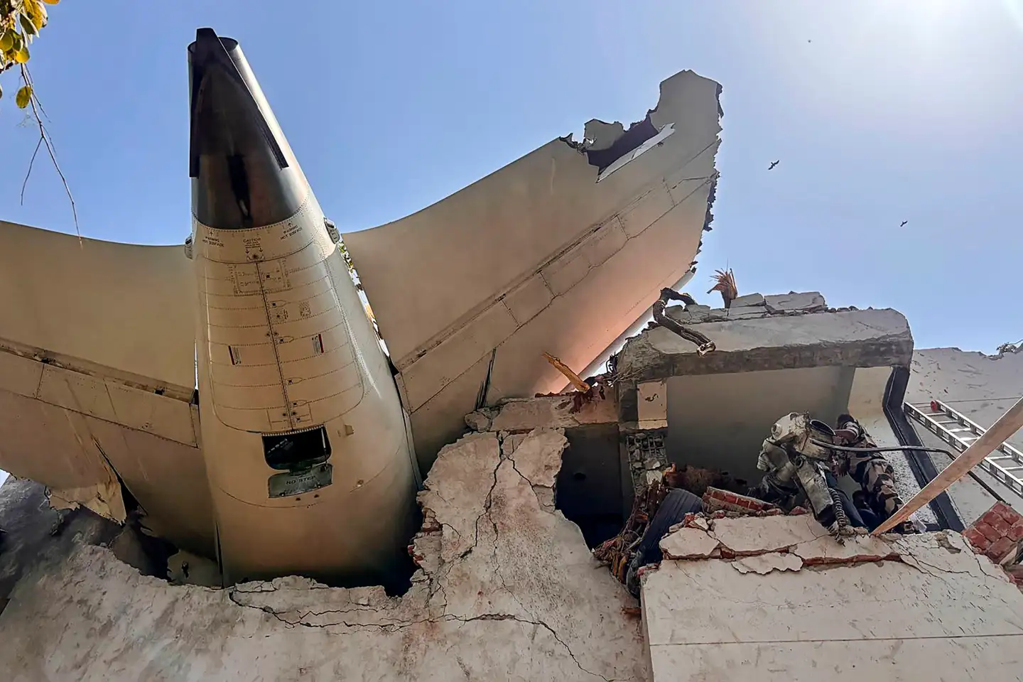 241 ud af de 242 ombordværende på det store Boeing 787-fly omkom i styrtet i den indiske by Ahmedabad i sidste måned. Yderligere 19 i et beboelsesområde nær lufthavnen blev dræbt.