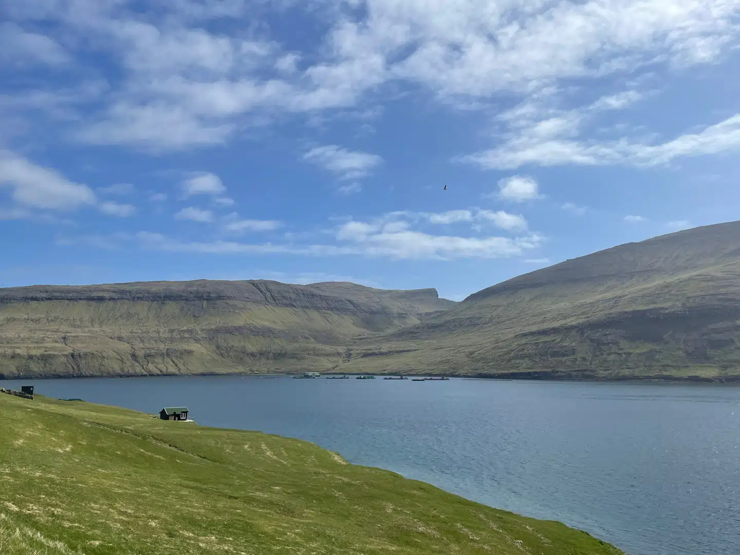 For første gang nogensinde er alle partierne i Lagtinget enige om, at Færøerne skal være mere selvstændige.