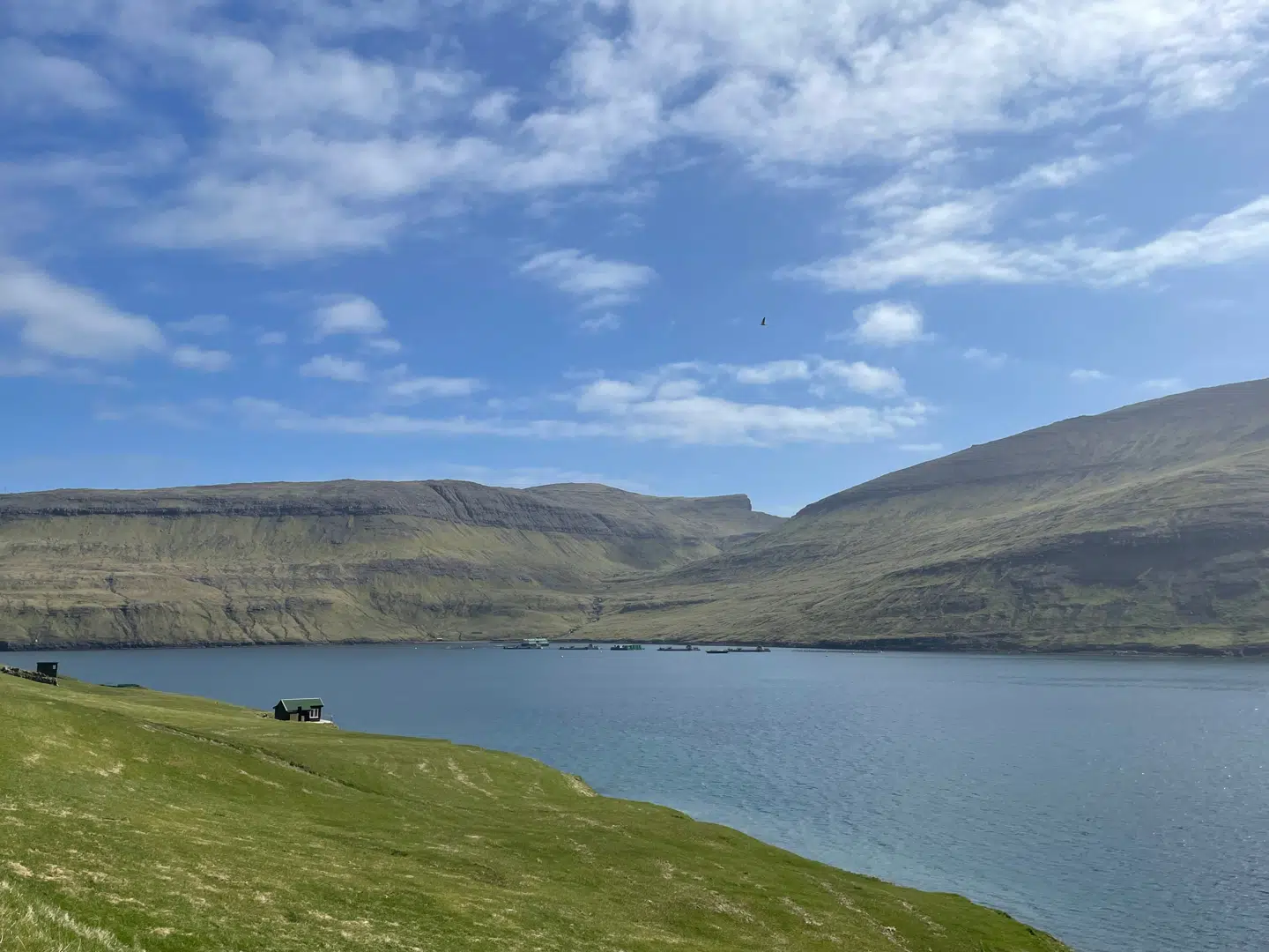 For første gang nogensinde er alle partierne i Lagtinget enige om, at Færøerne skal være mere selvstændige.