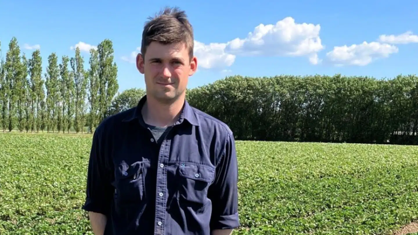 Mike Spuur fra Jordbærgården, som har plukselv, gårdssalg og leverer til butikker, siger, der var ingen vej udenom prisstigninger i 2025.