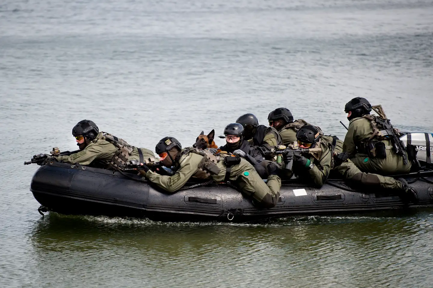 Frømandskorpset demonstrerer færdigheder på dets 60-års fødselsdag i 2017.