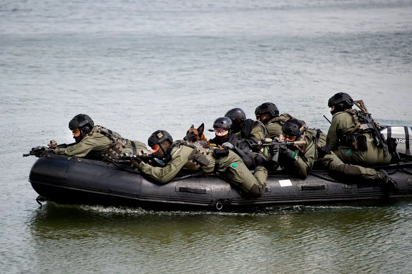 Frømandskorpset demonstrerer færdigheder på dets 60-års fødselsdag i 2017.