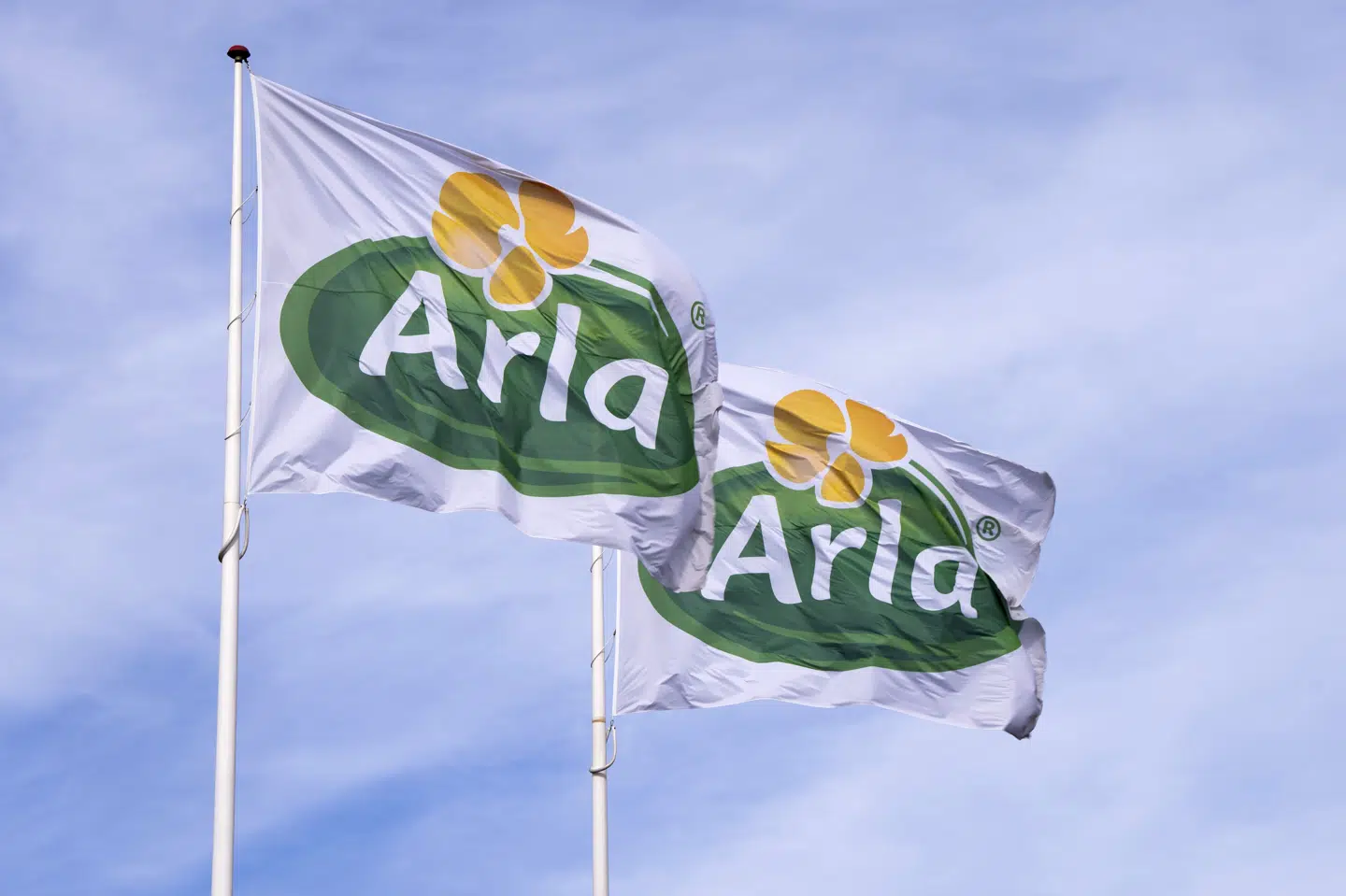 Den planlagte fusion af Arla Foods og DMK Group mangler fortsat den endelige godkendelse af konkurrencemyndighederne. Myndighedernes behandling af sagen ventes afsluttet i første kvartal af 2026 ifølge Arla Foods. (Arkivfoto).